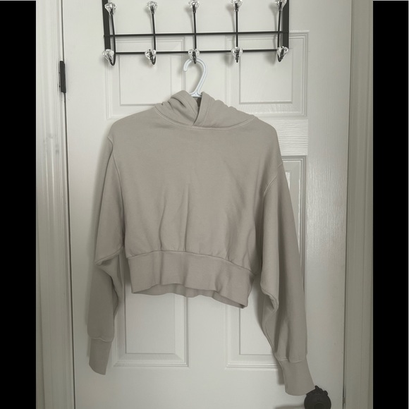 Aritzia Sweaters - Aritzia hoodie